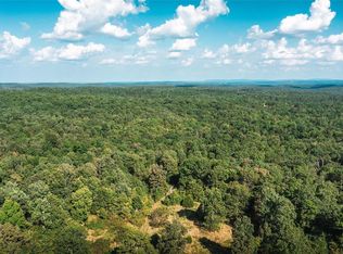 13763 Delbridge Rd, Potosi, MO 63664