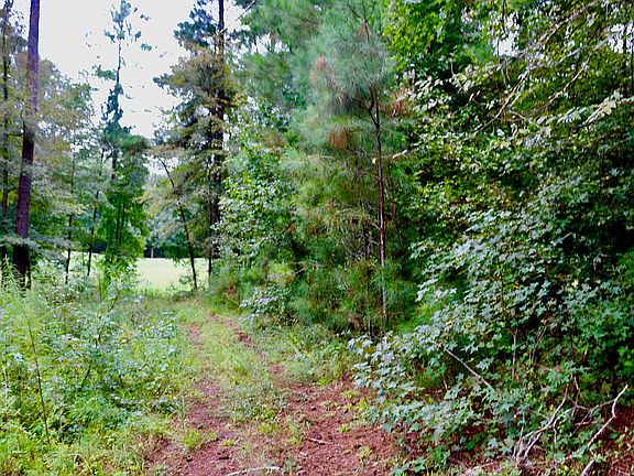Lot w/mature diverse trees