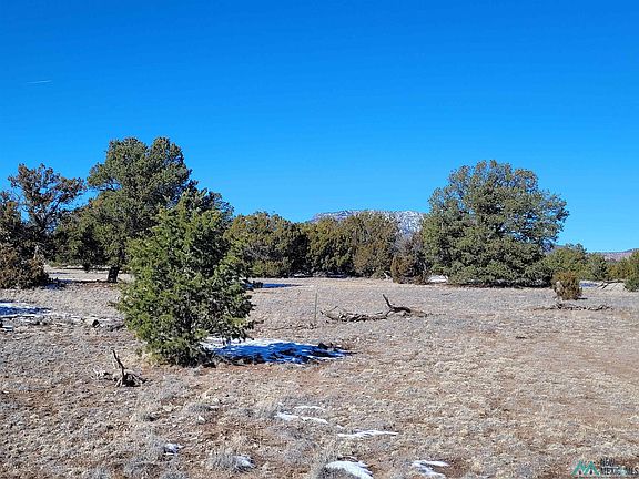 4th image of 1 Jackass Ln