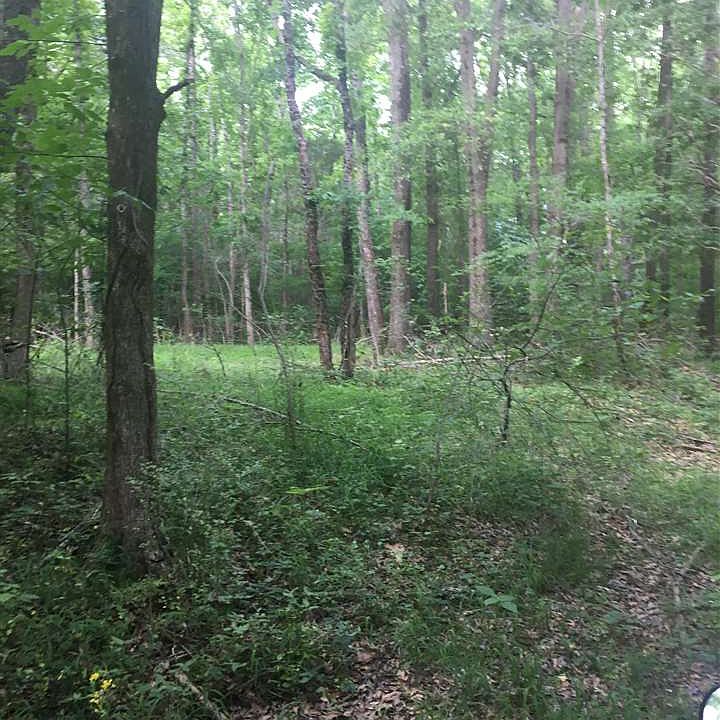 2nd image of 0 Brewer Rd