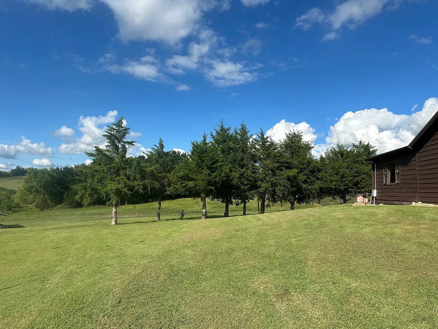 1 bed, 825 sqft, $1,195 — Photo 1