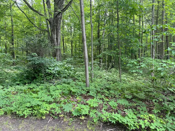 V/l W Beech St, Ludington, MI 49431