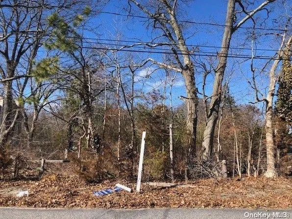 15 Spruce Street, Selden, NY 11784