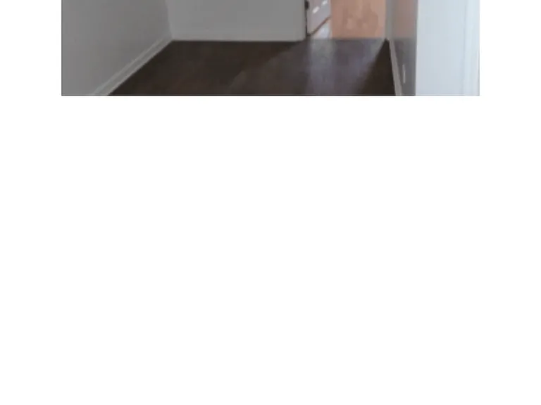 5230 S Justine St #2NDFL — Photo 8