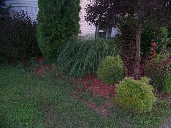 4th image of 152 General Cleburne Dr