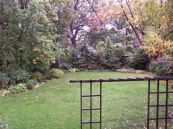 Expansive lawn