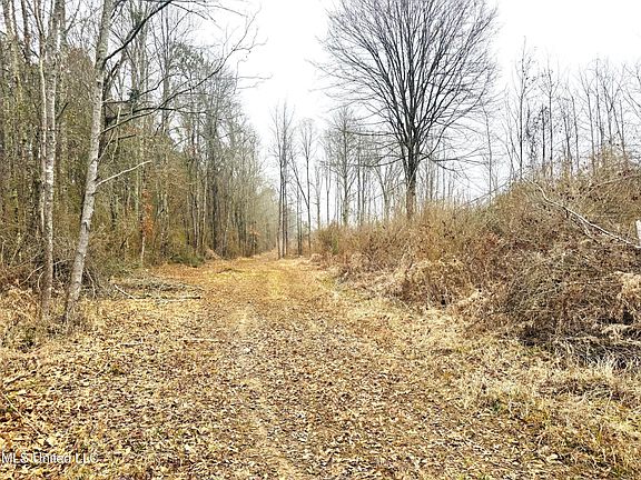 5th image of Sidney Ellzey Rd