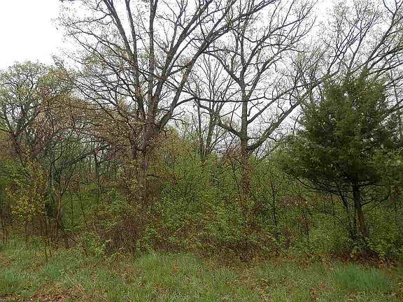 2nd image of 4 Banfield Saddle