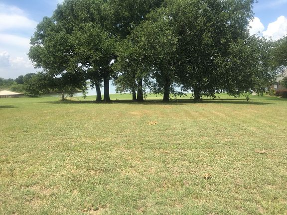 Beautiful Trees