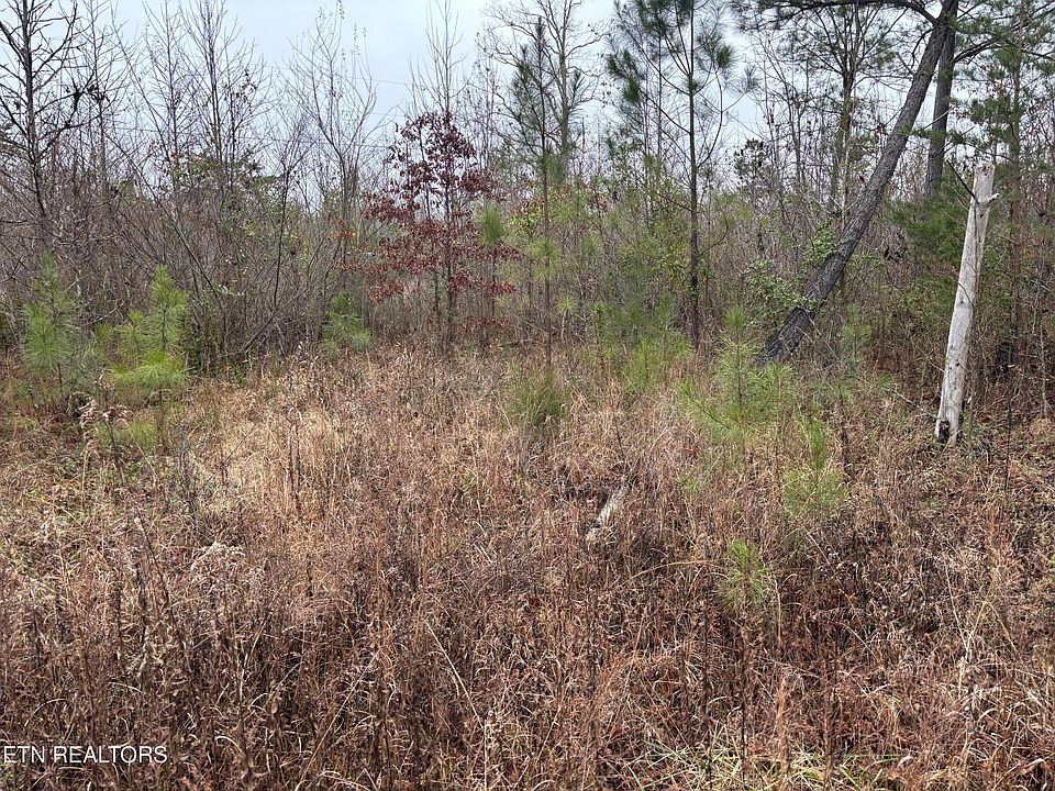 2nd image of Everett Ln