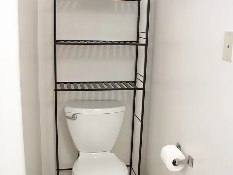Master bathroom toilet
