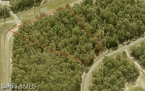 3rd image of 1571 W Thumper Dr