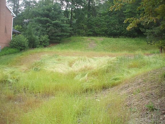 Lot View 2