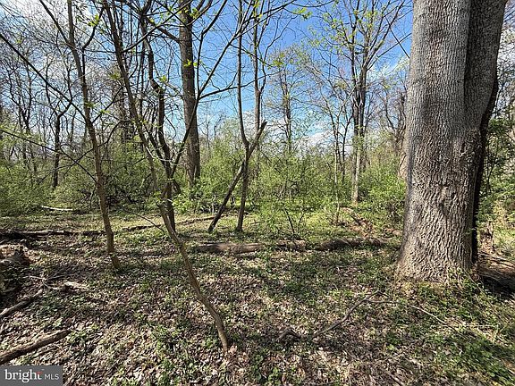 2nd image of Philomont Rd