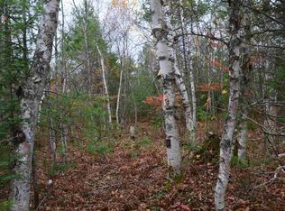 Chamberlain Rd, Wetmore, MI 49895