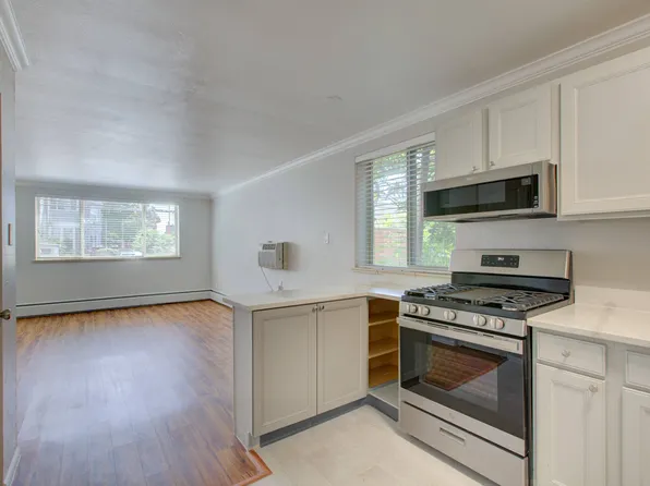 1536 Vine