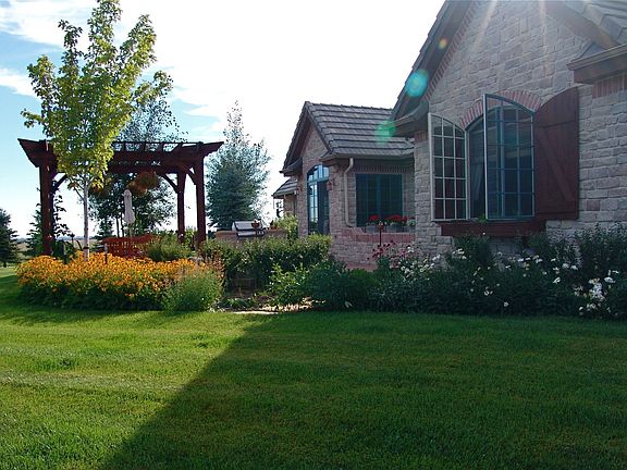 Back yard