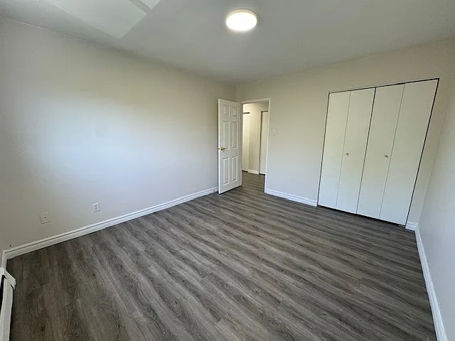 236 Louisa St #8B — Photo 15