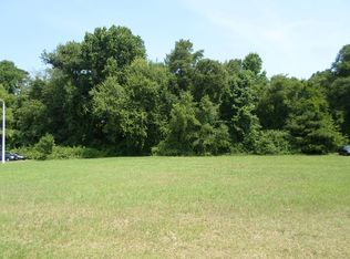 173 Fish Dr, Angier, NC 27501