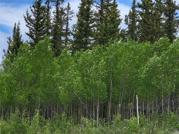 1510 Chief Trl, Como, CO 80456