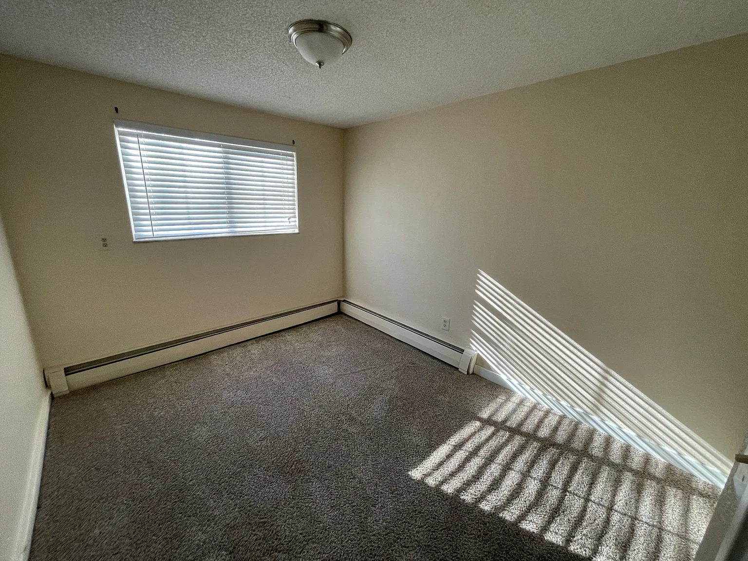 2 bed, 775 sqft, $1,350 — Photo 3