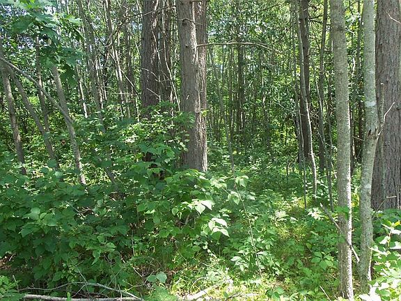 3rd image of Lot 6 Birch Tree T Trail