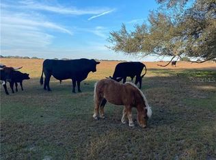 Gooden Pl, Groveland, FL 34736