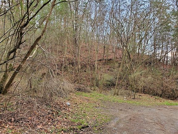 3rd image of 1 W Mill Creek Rd Lot 1