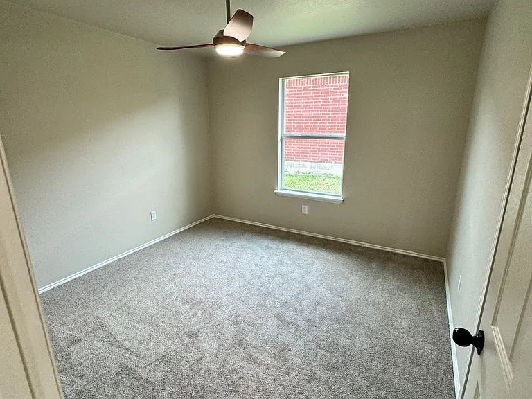 204 Pine Arbol — Photo 18
