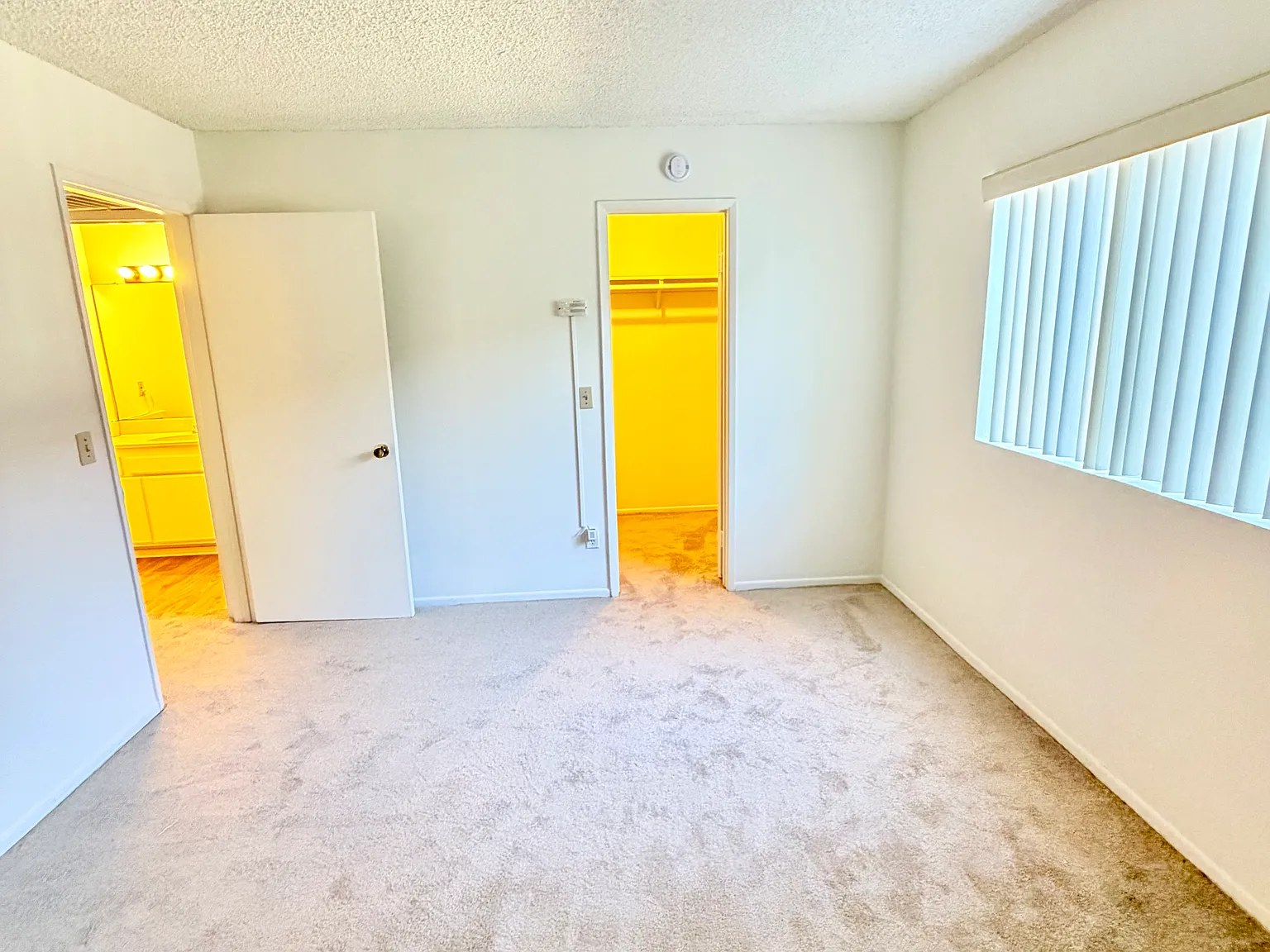 1 bed, 625 sqft, $1,900 — Photo 2