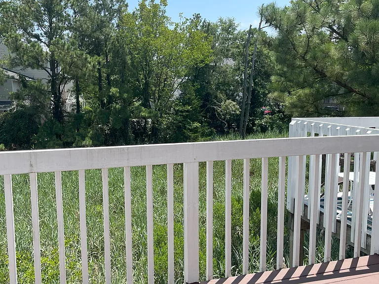 view from back deck