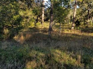 10305 Turpin Ave, Hastings, FL 32145