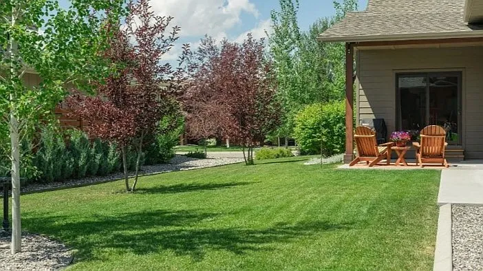 2558 Maiden Star Ln — Photo 11