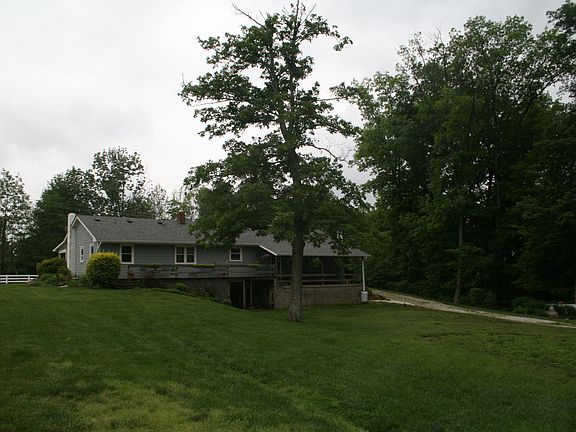 rear view