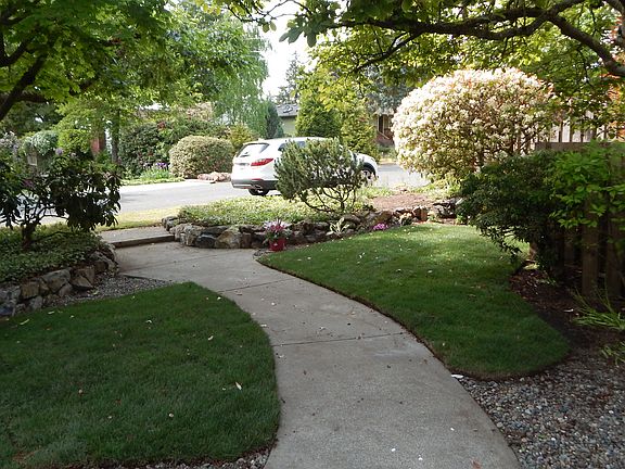 Front Yard
