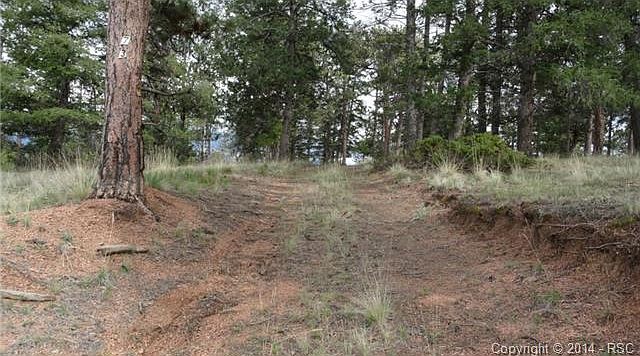 1st image of 73 Black Mesa Cir