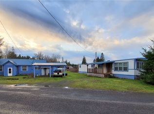 127 Doty St, Doty, WA 98539