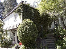5th image of 2418 E Walker Ln