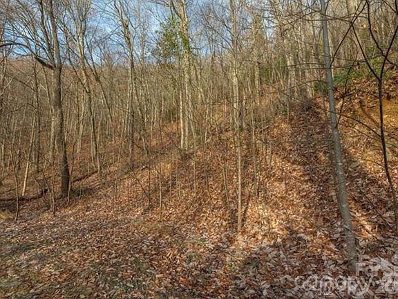 4th image of 31 Reillys Bluff Rd #2