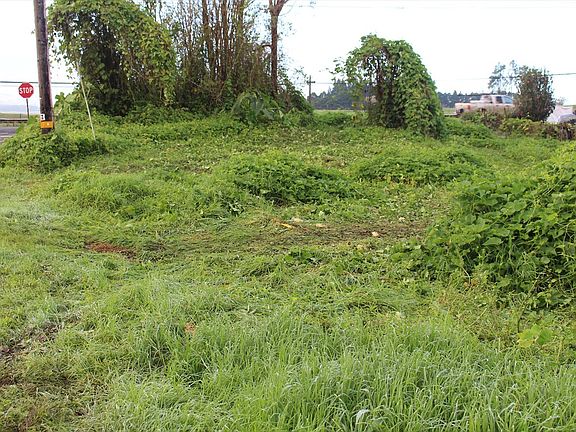 2nd image of 64-262 Mamalahoa Hwy Lot 6
