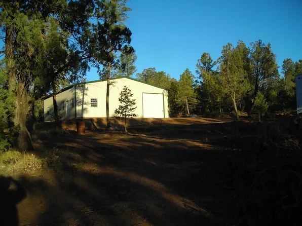 551 Johnnys Dr, Timberon, NM 88350