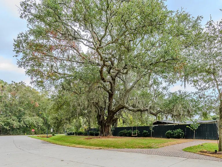 230 Olive Shell Ct — Photo 52