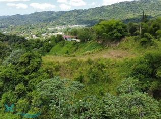 111 La Mula, Utuado, PR 00641