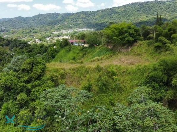 Land For Sale In Utuado Puerto Rico