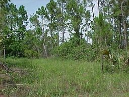 2nd image of 28237 N Twin Lakes Dr