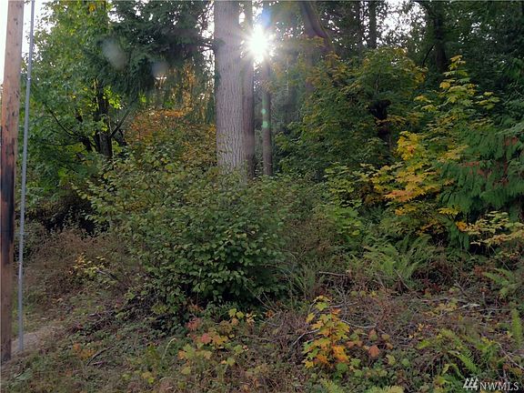 Power pole is approximately on the corner of the lot