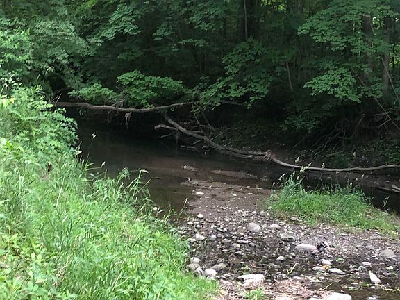 3rd image of 9567 N River Rd