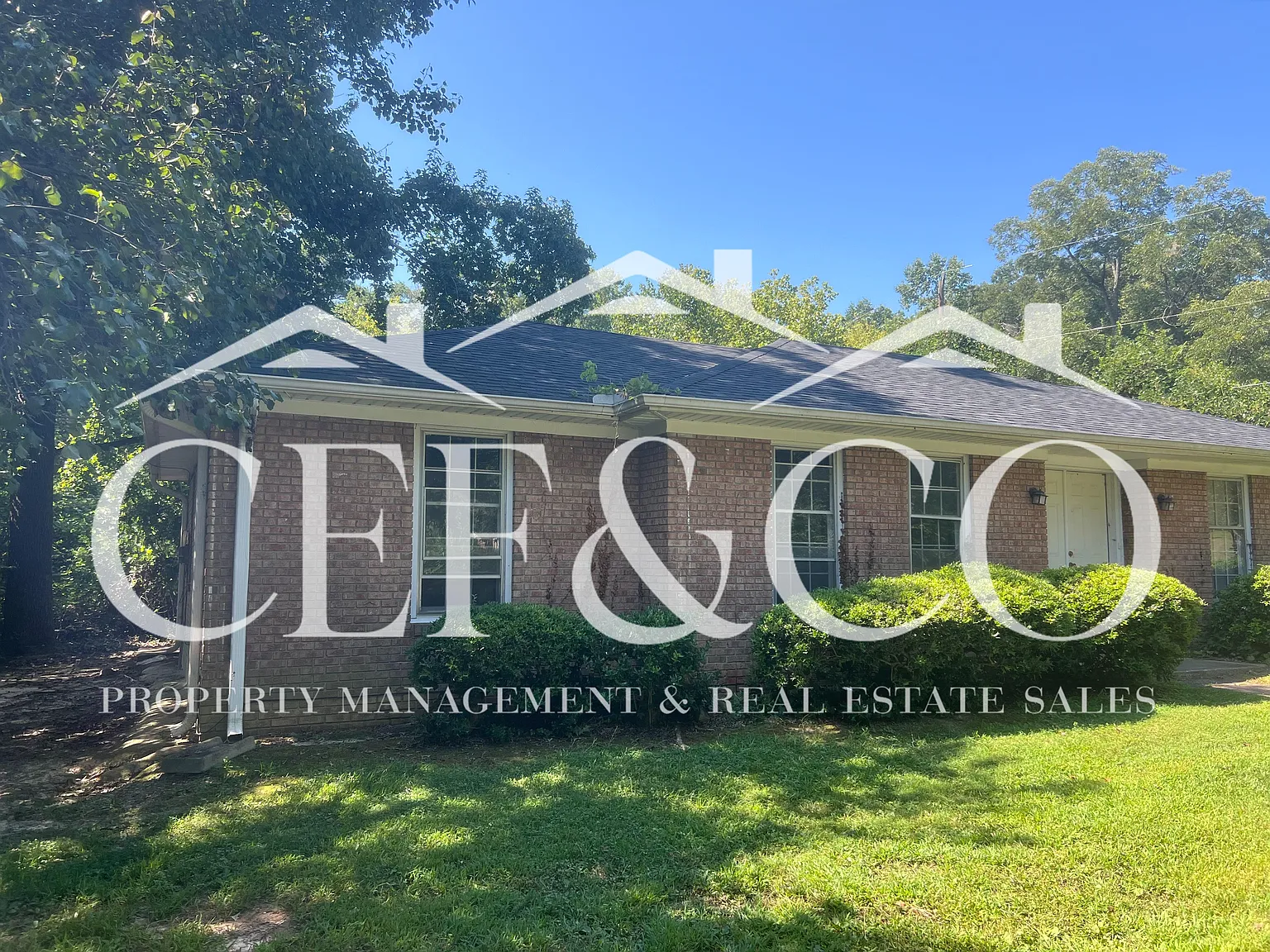 2 bed, 890 sqft, $895 — Photo 4