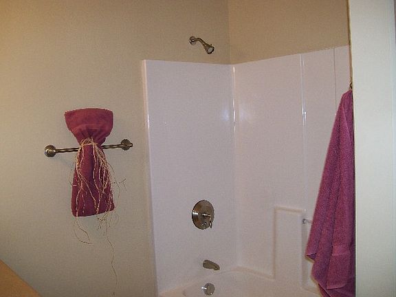 4th image of 584 Cottonwood Ln