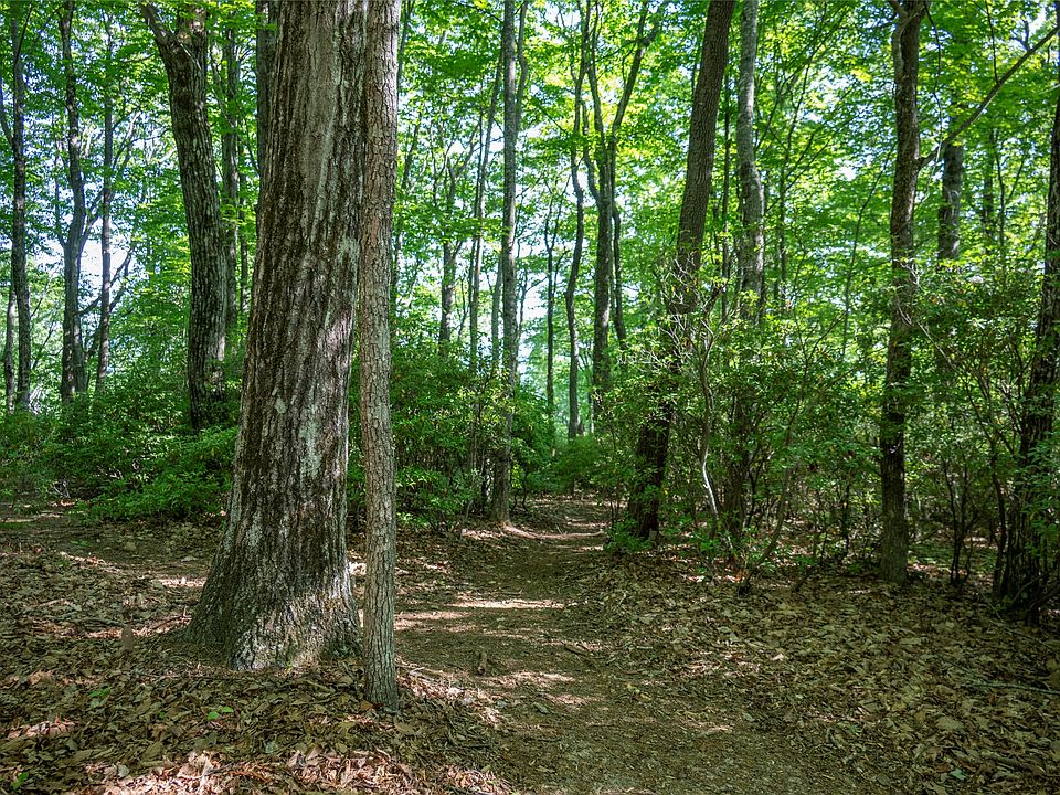 1st image of TMI 33 Toxaway Drive